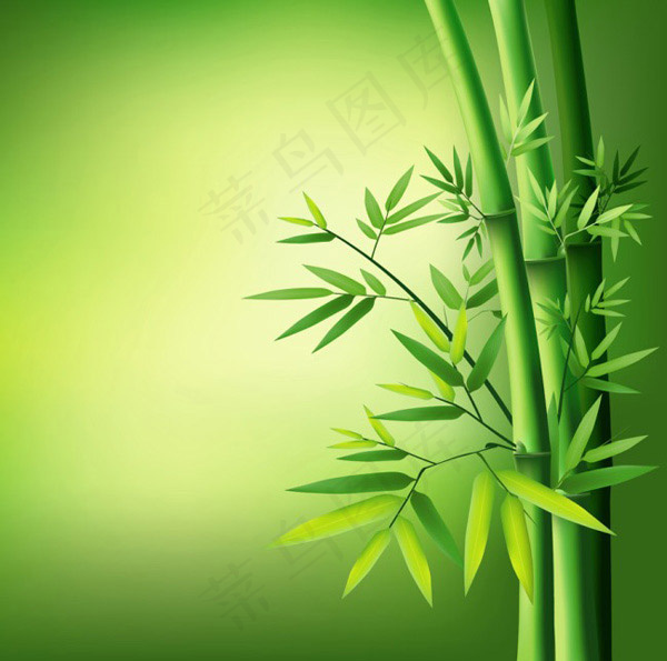 翠绿枝叶竹子ai矢量模版下载