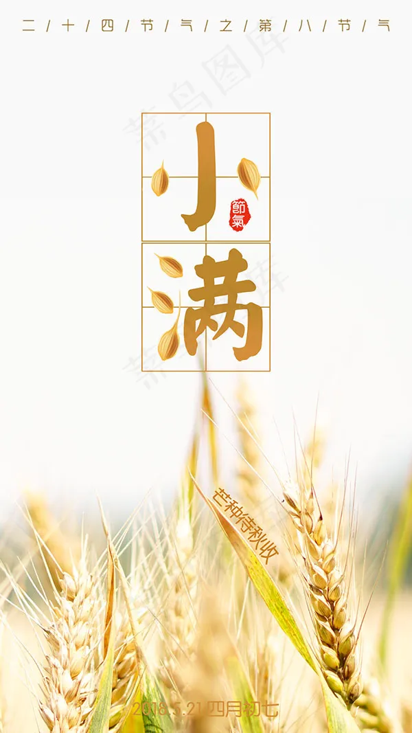 麦子小满节气海报(1500X2668(DPI:72))psd模版下载