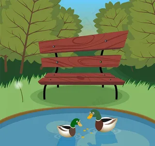 池塘风景和野鸭