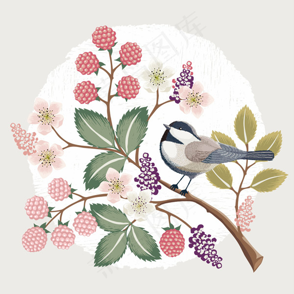 唯美手绘花鸟插画