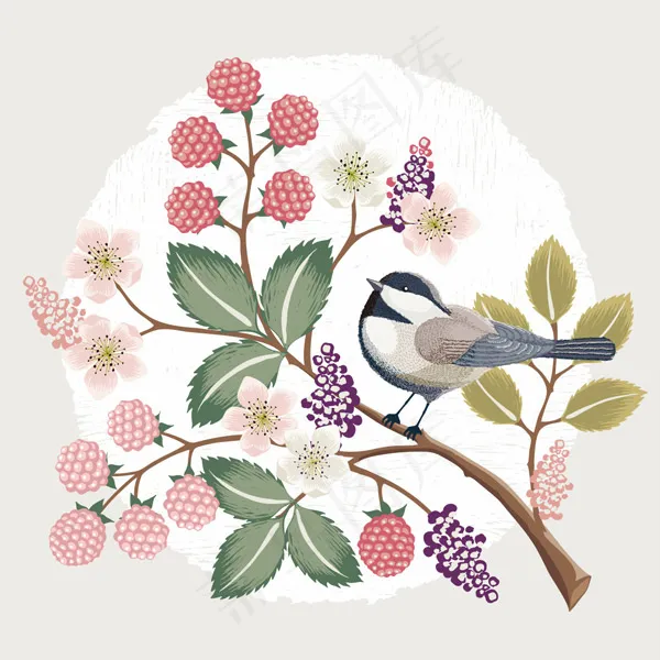 唯美手绘花鸟插画eps,ai矢量模版下载