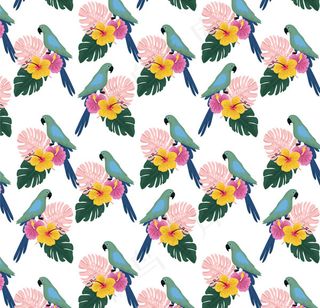 金刚鹦鹉无缝背景