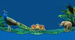 商务十一大气云南孔雀殿堂广告高清