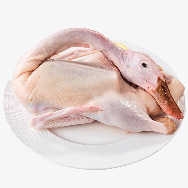 新鲜鸭肉免抠