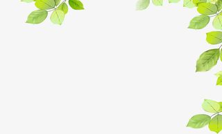 春季树叶化妆品装饰免抠