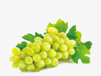 葡萄免抠