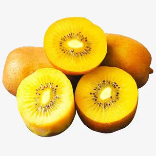 奇异果黄心猕猴桃免抠