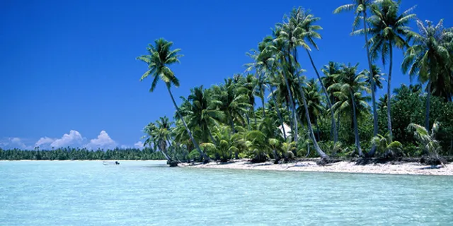 绿色环保海边背景图