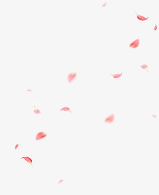 粉色花瓣飘落漂浮素材免抠漂浮花瓣元素
