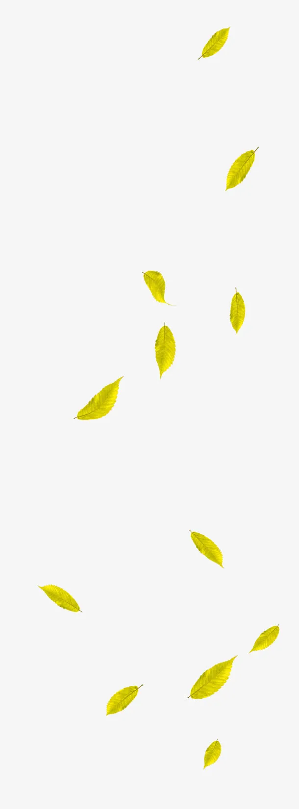 黄绿色清新树叶漂浮素材免抠