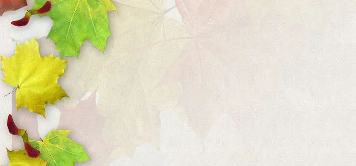 枫叶纹理淘宝背景高清
