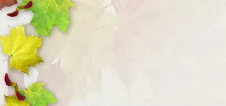 枫叶纹理淘宝背景高清