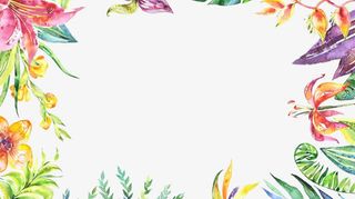 手绘水彩清新简约时尚绿叶叶子免抠