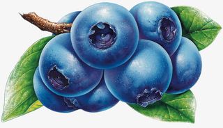 手绘蓝莓水果生鲜免抠