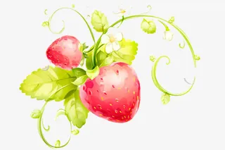 手绘草莓树免抠