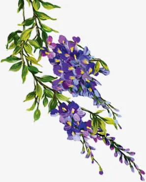 绿叶紫色小花手绘免抠