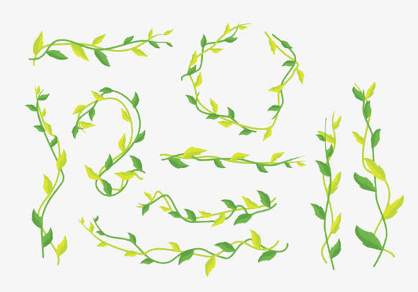 枝条柳条绿色植物免抠