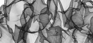 黑色和白色高清