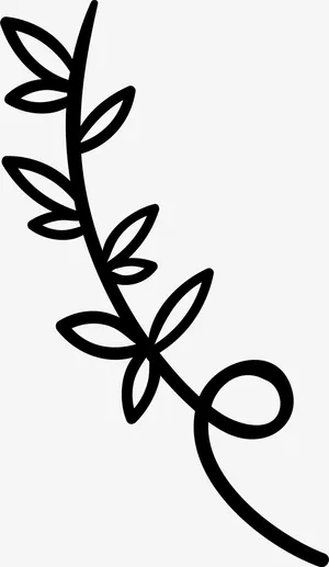 简洁图案边框免抠