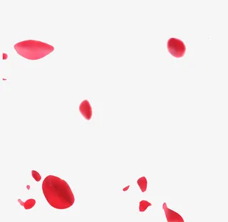 花瓣免抠