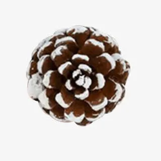 花图片素材免抠