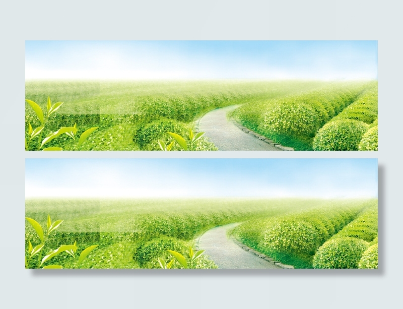 春茶、茶叶广告Banner高清