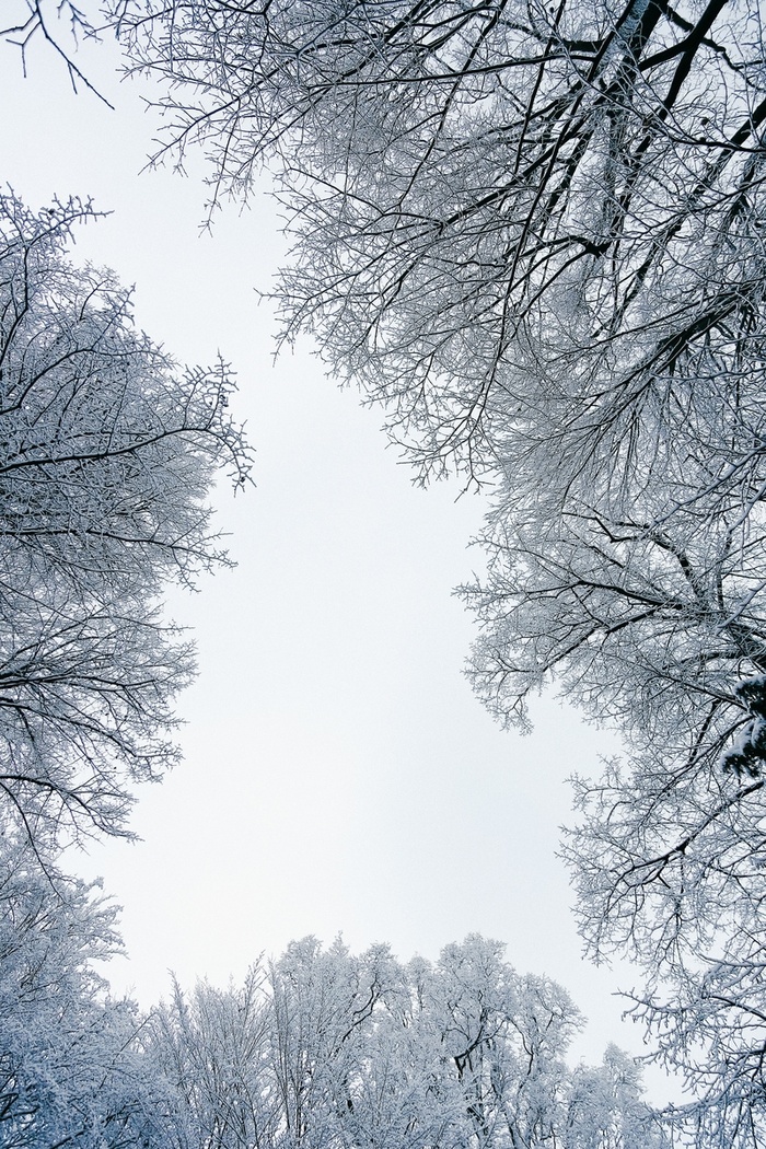 雪景 雪山 雪地 白色高清