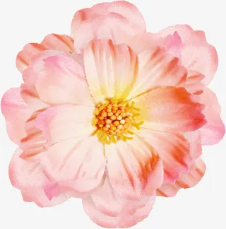 粉色花朵免抠