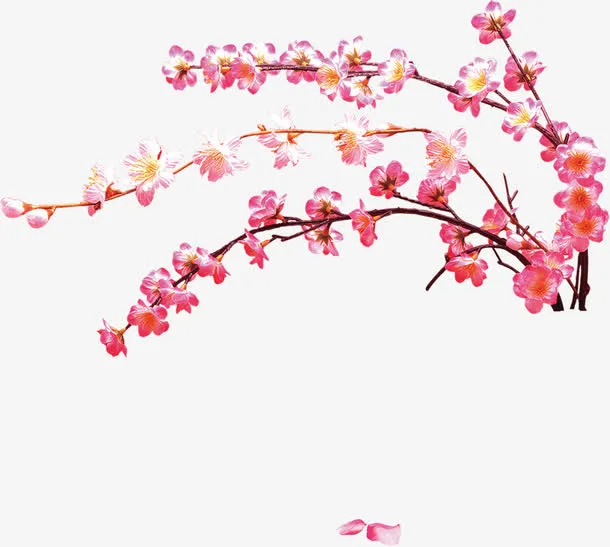 桃花朵朵出墙来免抠
