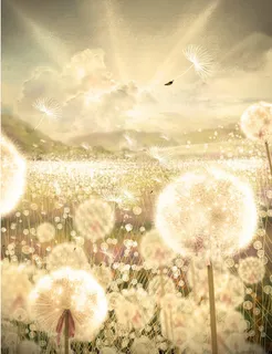 唯美光斑飞起的蒲谷英免抠