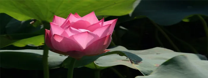 淘宝banner高清