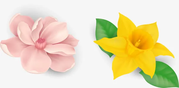 矢量手绘花朵免抠