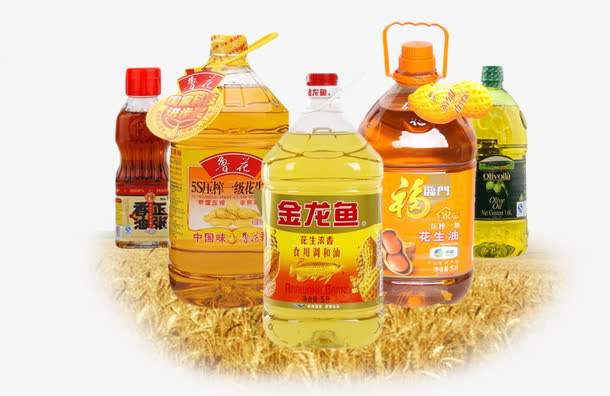 食用油集合免抠