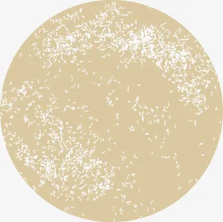 圆形底纹矢量牛皮纸底纹免抠