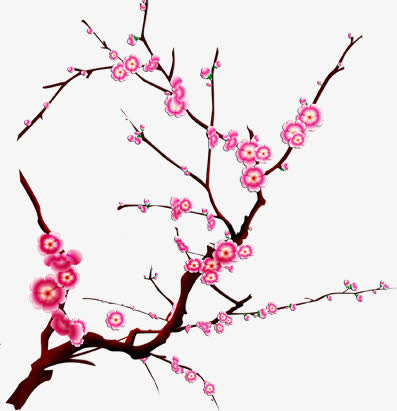 梅花免抠