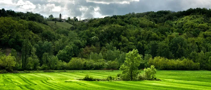 摄影森林乌云背景高清