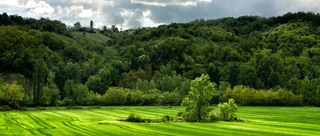 摄影森林乌云背景高清