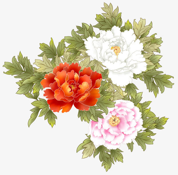 盛开的牡丹花图案免抠