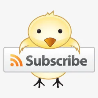 可爱小鸡RSS订阅图标免抠