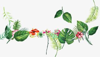 手绘卡通夏日海报植物花朵树叶免抠