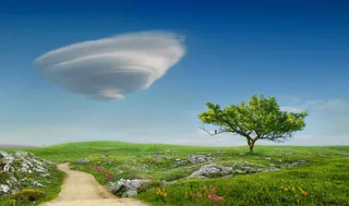 蓝天草地鲜花大树免抠