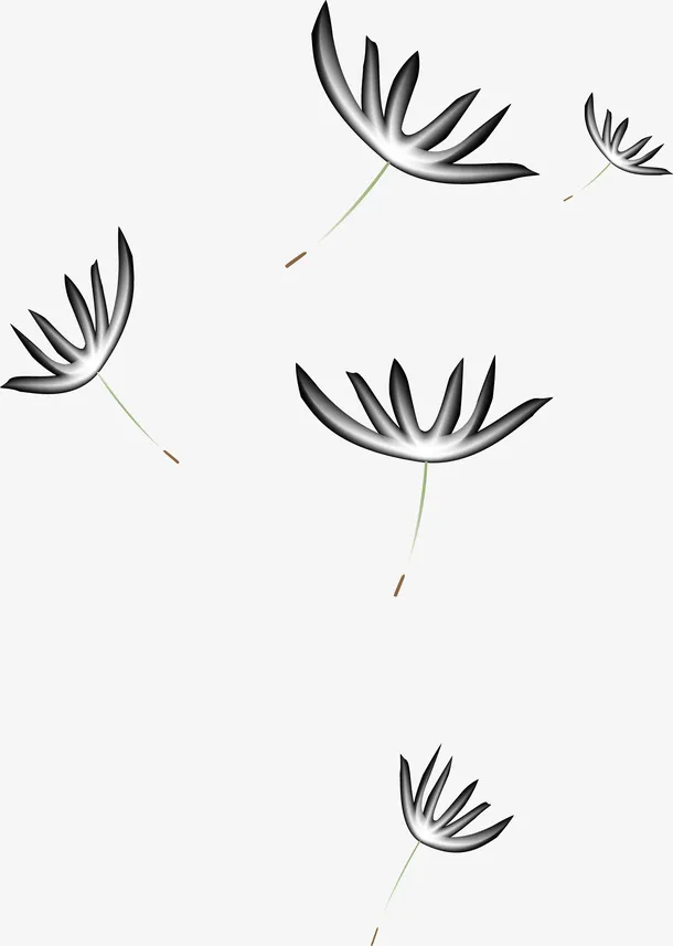 黑色简约飞絮植物免抠