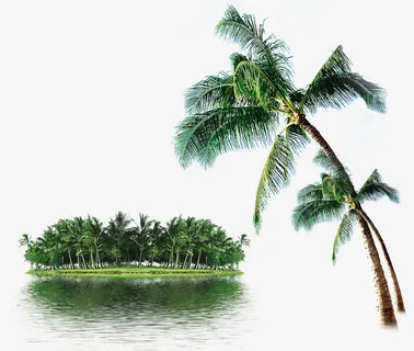 热带树林免抠 热带树林免抠