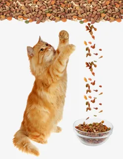 猫粮免抠 猫粮免抠