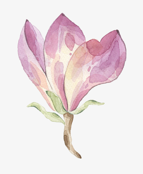粉色花瓣免抠