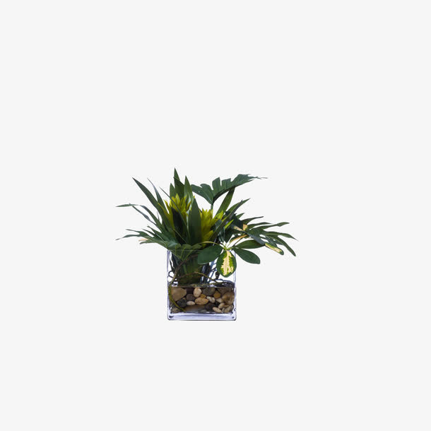 欧美流行插花 绿植物 鲜花软装免抠