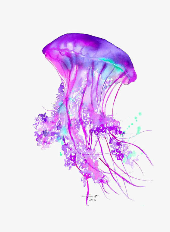 水母免抠