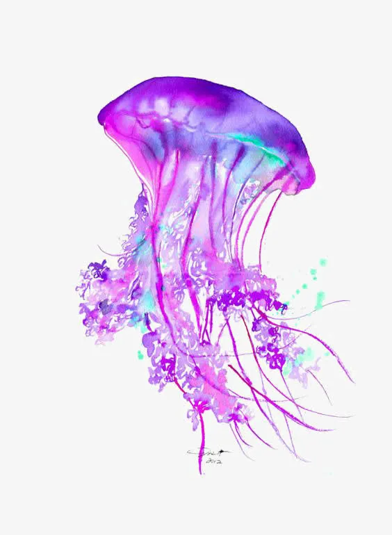 水母免抠