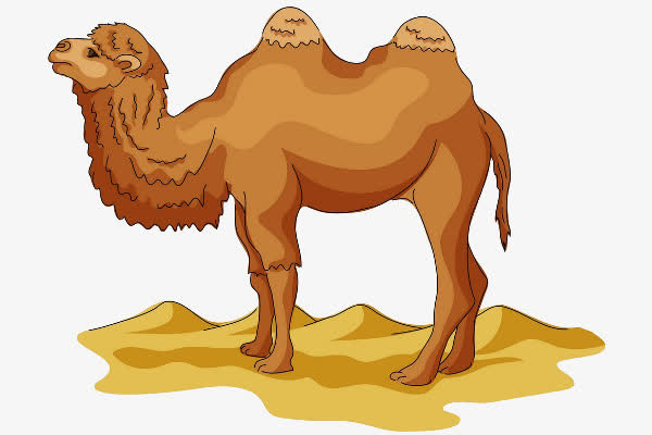 沙漠里的骆驼免抠