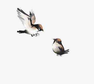 水墨中国风飞鸟免抠